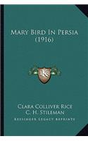 Mary Bird in Persia (1916)