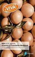 Viva! AQA GCSE Spanish Grammar and Translation Workbook