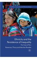 Ethnicity and the Persistence of Inequality