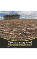 What Can We Do about Deforestation?