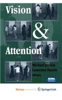 Vision and Attention