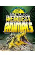 World's Weirdest Animals