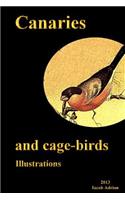 Canaries and cage-birds Illustrations