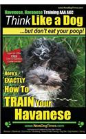 Havanese, Havanese Training AAA AKC - Think Like a Dog, But Don't Eat Your Poop!