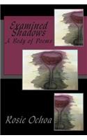 Examined Shadows