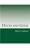 Ducks and Geese