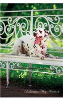Dalmatian May Notebook Dalmatian Record, Log, Diary, Special Memories, to Do List, Academic Notepad, Scrapbook & More