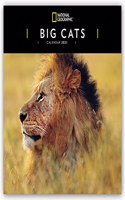 WWF Big Cats Square Wall Calendar 2024