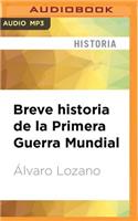 Breve Historia de la Primera Guerra Mundial (Narración En Castellano)