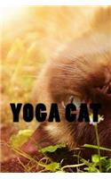 Yoga Cat