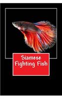 Siamese Fighting Fish (Journal / Notebook)