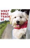 What Dogs Teach Us 2020 Wall Calendar