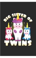 big sister of twins