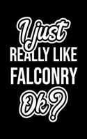 I Just Really Like Falconry Ok?: Christmas Gift for Falconry lover - Funny Falconry Journal - Nice 2019 Christmas Present for Falconry - 6x9inch 120 pages