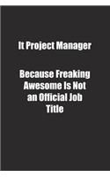 It Project Manager Because Freaking Awesome Is Not an Official Job Title.: Lined notebook