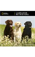 Cal 2021- Ng Labrador Retrievers Wall