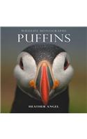 Puffins