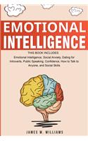 Emotional Intelligence