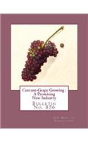 Currant-Grape Growing