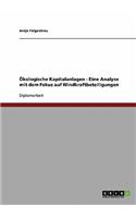 Ökologische Kapitalanlagen - Eine Analyse mit dem Fokus auf Windkraftbeteiligungen