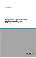 Unangepasste Jugendkulturen im Nationalsozialismus - ein Großstadphänomen?