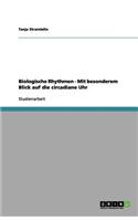 Biologische Rhythmen - Mit besonderem Blick auf die circadiane Uhr