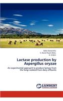 Lactase production by Aspergillus oryzae
