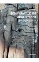 Sommerwald ist abgebrannt