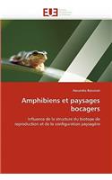 Amphibiens et paysages bocagers