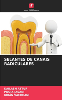 Selantes de Canais Radiculares
