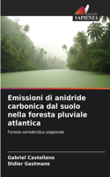 Emissioni di anidride carbonica dal suolo nella foresta pluviale atlantica