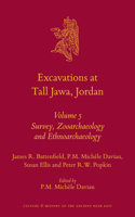 Excavations at Tall Jawa, Jordan