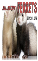 All about Ferrets