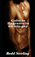 Colto in flagrante in un trio gay: racconto erotico gay