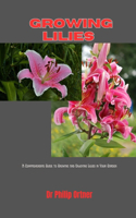 Growing Lilies