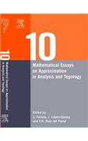 Ten Mathematical Essays on Approximation in Analysis and Topology