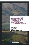 A Plain Reply to Bishop Colenso: Respectfully Addressed to the Laymen of England