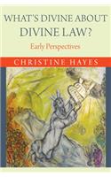 What's Divine about Divine Law?