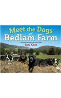 Meet the Dogs of Bedlam Farm