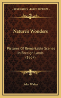 Nature's Wonders: Pictures of Remarkable Scenes in Foreign Lands (1867)