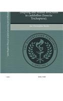 Comparative Morphological and Functional Analysis of Wing Coupling and Related Structures in Caddisflies (Insecta: Trichoptera)