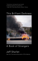 This Brilliant Darkness - A Book of Strangers