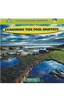 Examining Tide Pool Habitats: (Graphic Organizers: Habitats)