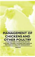 Management of Chickens and Other Poultry - A Collection of Articles on the Culling, Feeding, Housing and Various Methods of Poultry Management