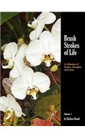 Brush Strokes of Life