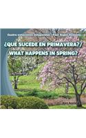 ¿Qué Sucede En Primavera? / What Happens in Spring?