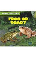 Frog or Toad?