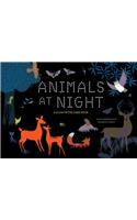 Animals at Night