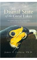 Dismal State of the Great Lakes