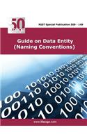 Guide on Data Entity (Naming Conventions)